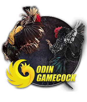odin_gamecock